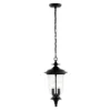 Dowell 9" Outdoor Pendant - PLT4033 - Black - Safavieh