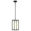 Hyla 8" Outdoor Pendant - PLT4024 - Black - Safavieh