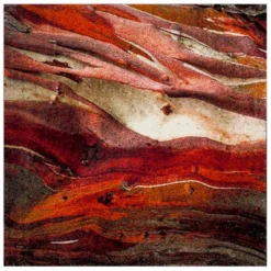 Calabasas Abstract Loomed Area Rug - Safavieh -My home decor GUEST 51b69280 2dda 4fb6 b4f0 fe4b4c5cde9c