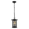 Osprey 8" Outdoor Pendant - PLT4030 - Black - Safavieh