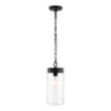 Lianne 5.7" Outdoor Pendant - PLT4037 - Black - Safavieh