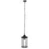 Hylan 8.27" Outdoor Pendant - PLT7007 - Black - Safavieh
