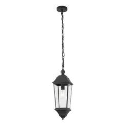 Teri 7" Outdoor Pendant - PLT4083 - Black - Safavieh