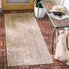Courtyard CY0727 Power Loomed Indoor And Outdoor Rug - Safavieh