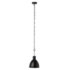 Priestly 9.84" Outdoor Pendant - PLT7021 - Black - Safavieh